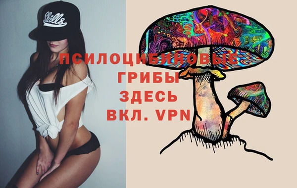прущая мука Новозыбков
