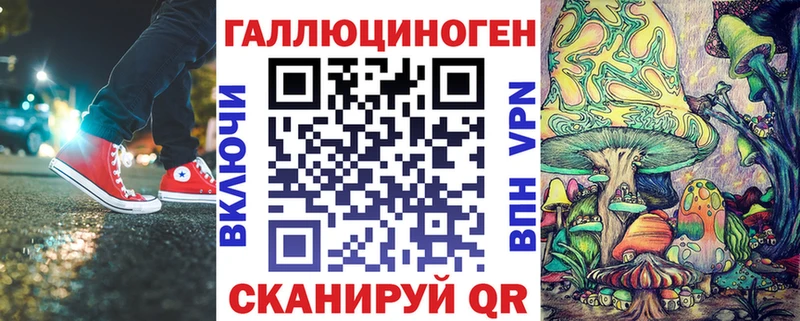 Галлюциногенные грибы Psilocybe  Юрьев-Польский 